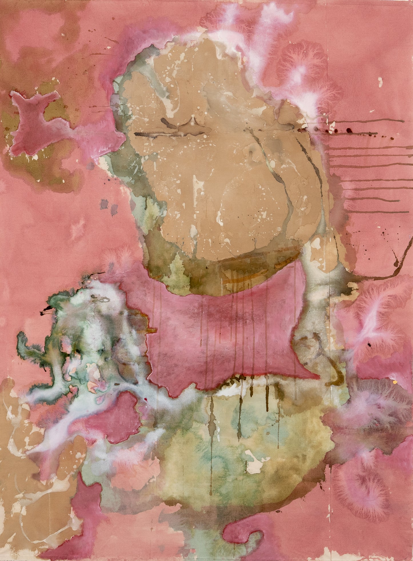 Hemocyte - Hannes Schauer
